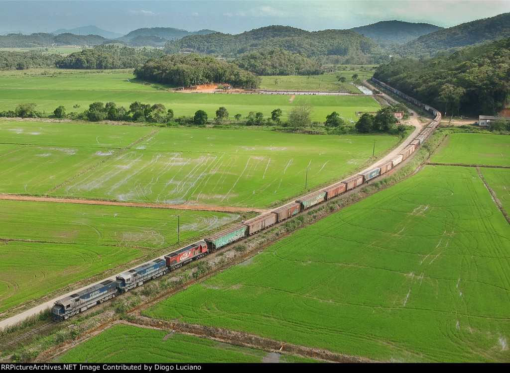 Linha São Francisco do Sul - km59